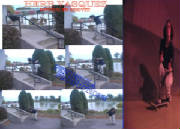 herb switch fs shove-it
